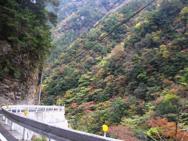 b0149340_1017053.jpg