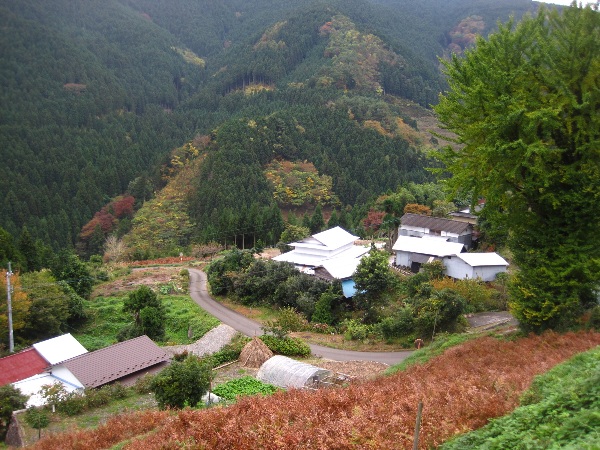 b0149340_10215012.jpg