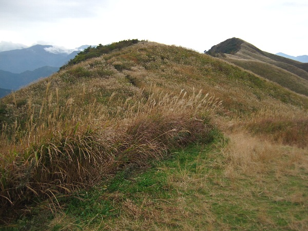b0149340_10235454.jpg