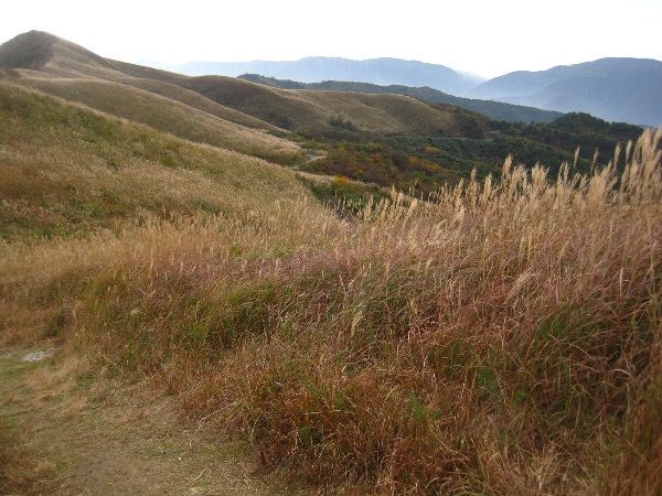 b0149340_1024939.jpg