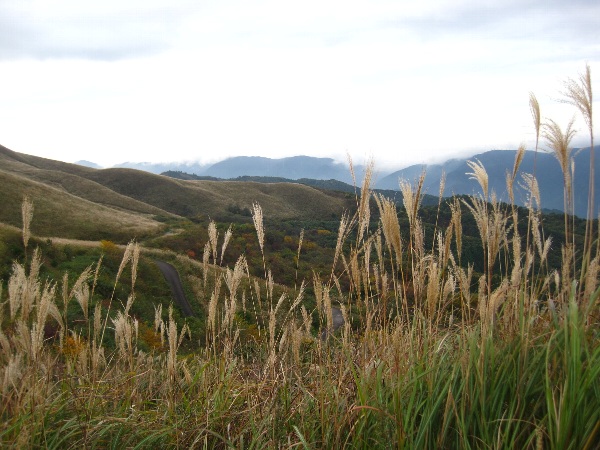 b0149340_10271324.jpg