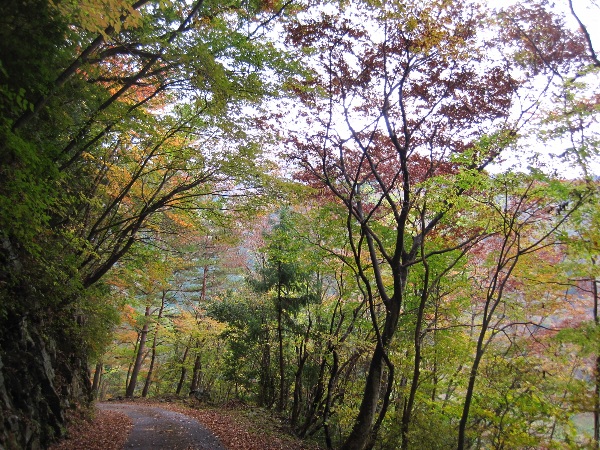 b0149340_1051385.jpg