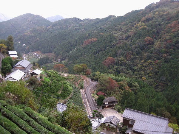 b0149340_1051396.jpg