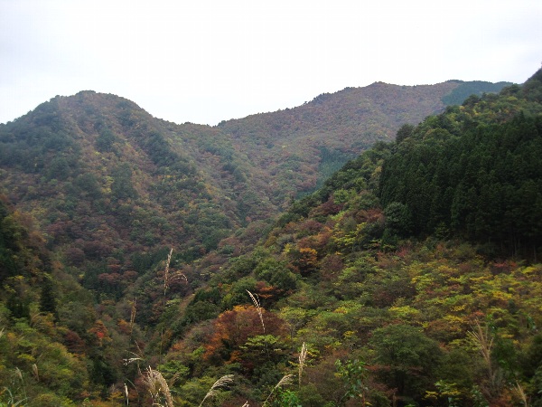 b0149340_107367.jpg