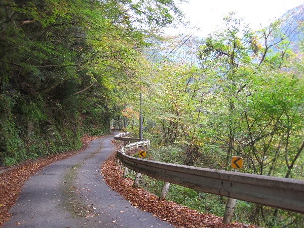 b0149340_1081553.jpg