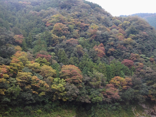 b0149340_227851.jpg