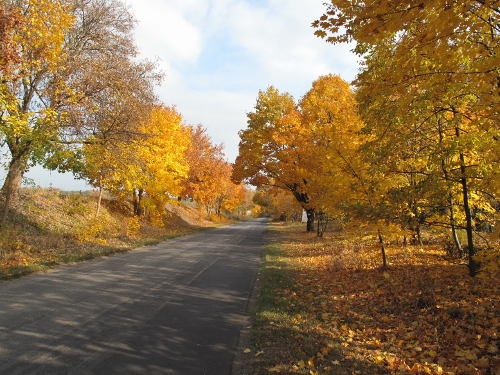 a0216142_23394936.jpg