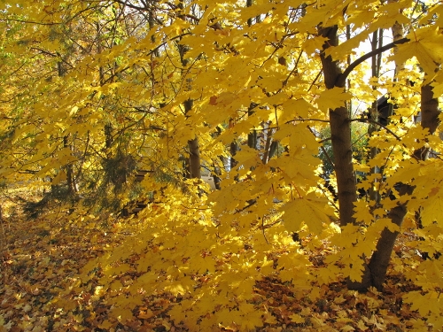 a0216142_23404885.jpg