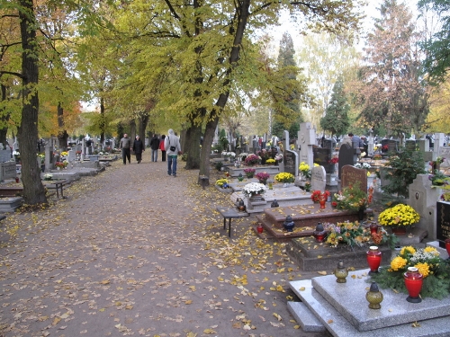 a0216142_23474243.jpg