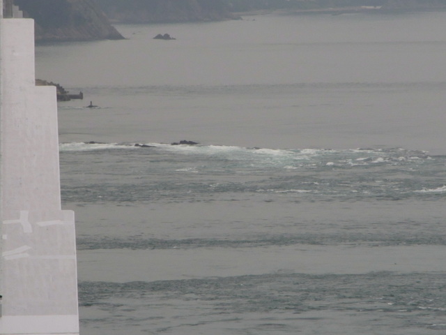 b0017844_913151.jpg