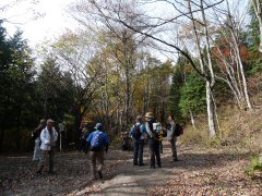 紅葉の碓井峠（後編）_f0019247_0231423.jpg