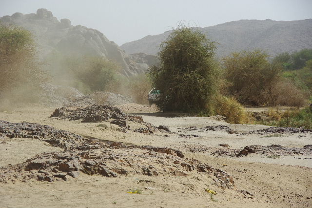 c0011649_0405141.jpg