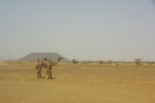 c0011649_06134.jpg