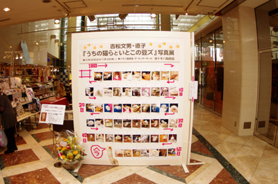 トキハ別府展終わりました。_a0028451_12235452.jpg