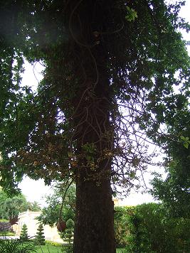d0096857_23431932.jpg