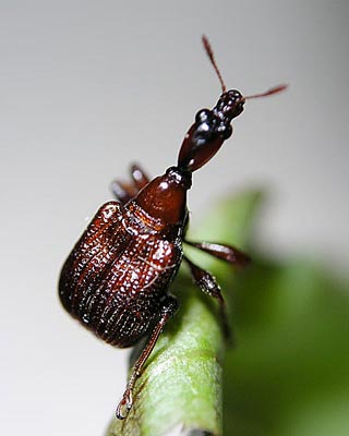 e0035757_1859188.jpg