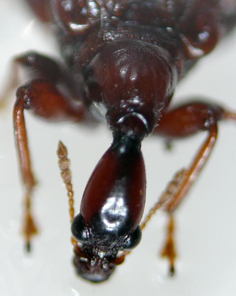 e0035757_1901726.jpg