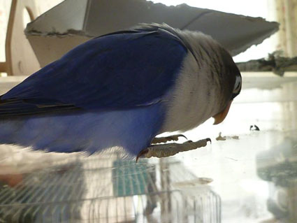 e0147757_23541396.jpg