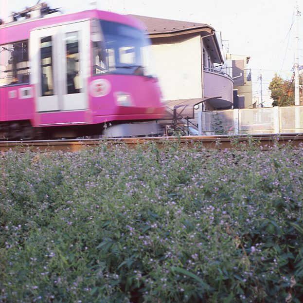 b0201258_2371040.jpg