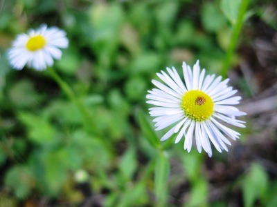 c0190960_7242268.jpg