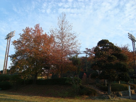 d0166862_16345113.jpg