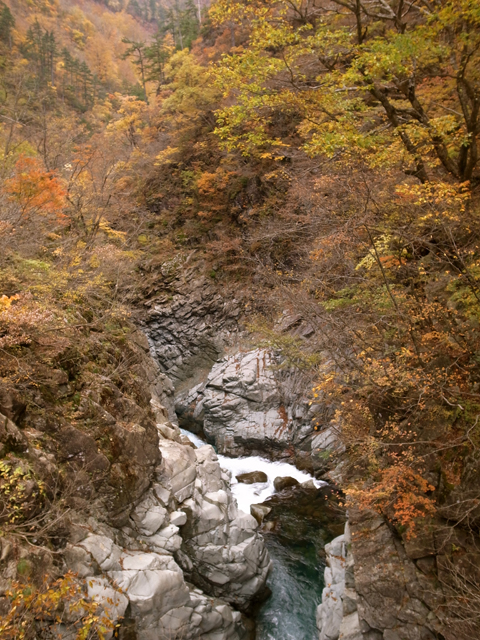 d0128163_12315514.jpg