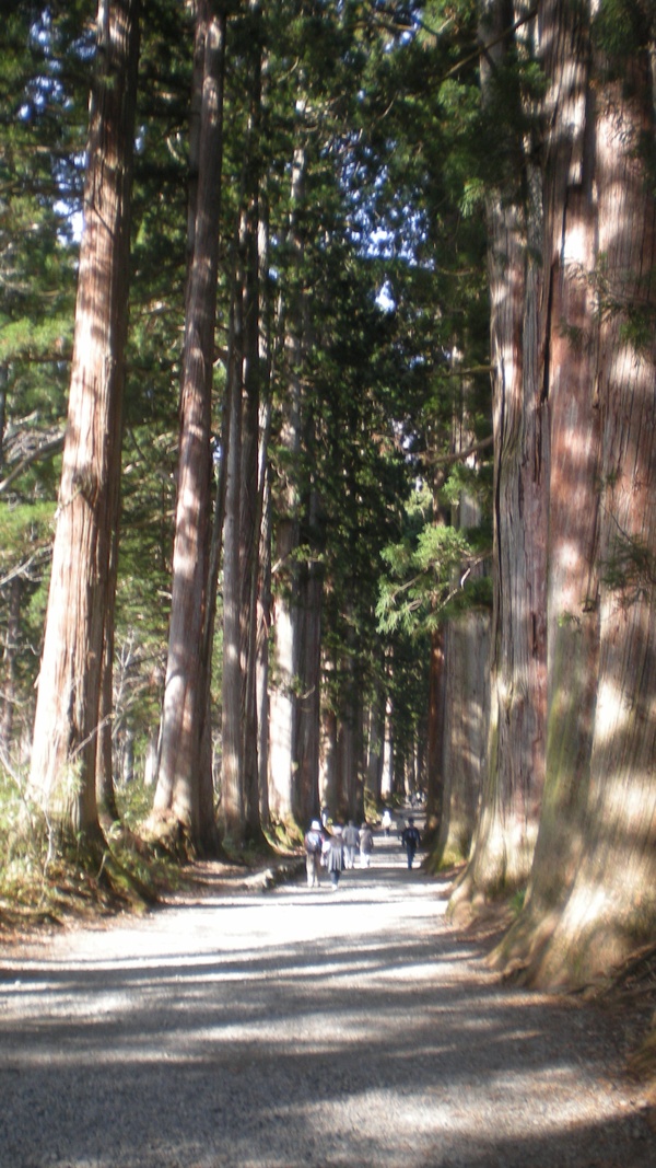 b0222066_22185492.jpg