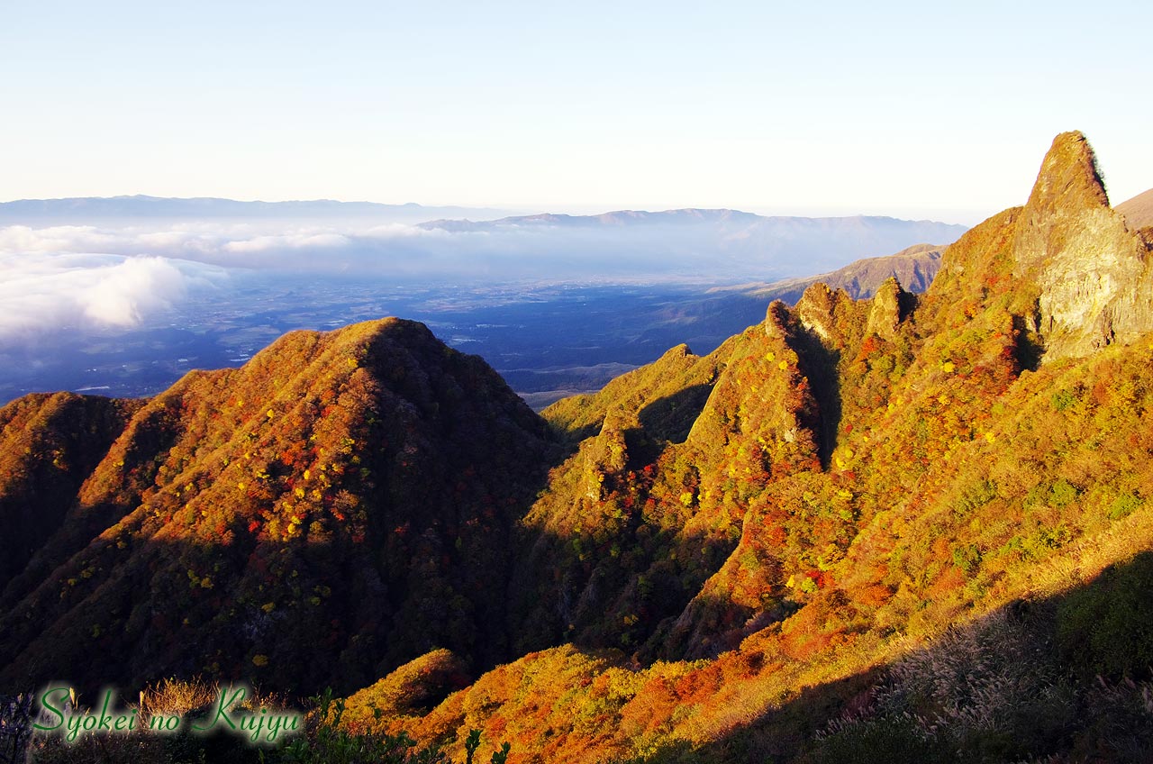 朝日射す_f0173067_10514988.jpg