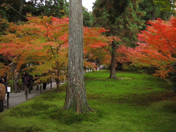 おととしの三千院１_c0032771_135597.jpg