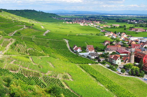 ヴォージュ山脈の麓の村、Kaysersberg。_c0209272_656192.jpg