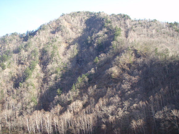 a0169776_2041317.jpg
