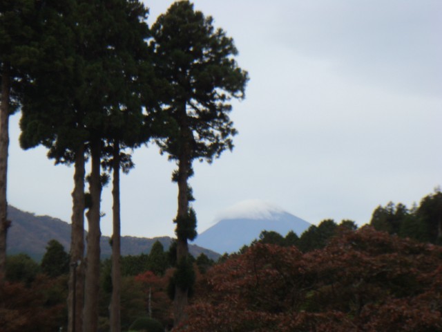 d0116376_21215319.jpg