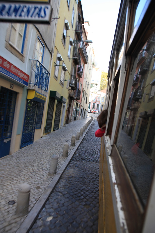 c0187779_753738.jpg