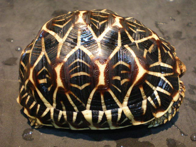 e0211781_1856032.jpg