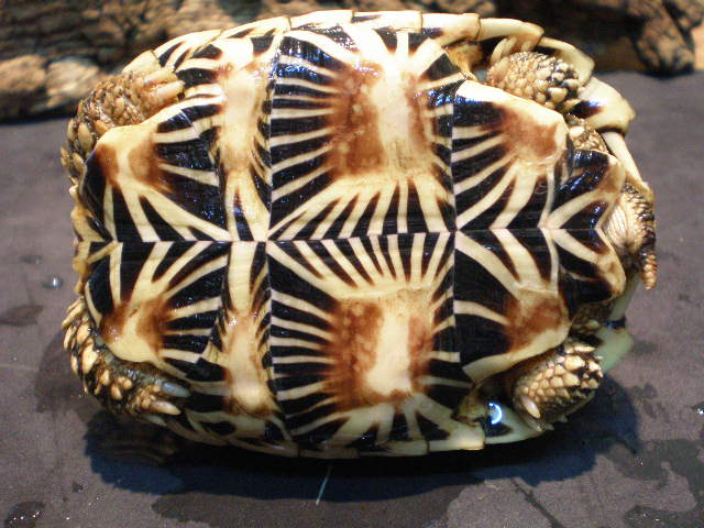 e0211781_185661.jpg