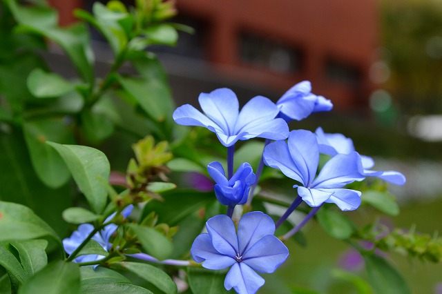 a0082884_15314559.jpg