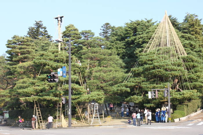 兼六園の雪つり作業が始まりました_e0016985_1745489.jpg