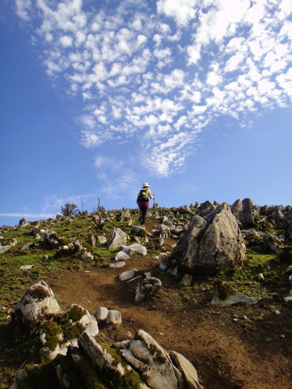 2011/11/01 霊仙山_b0220886_20221786.jpg