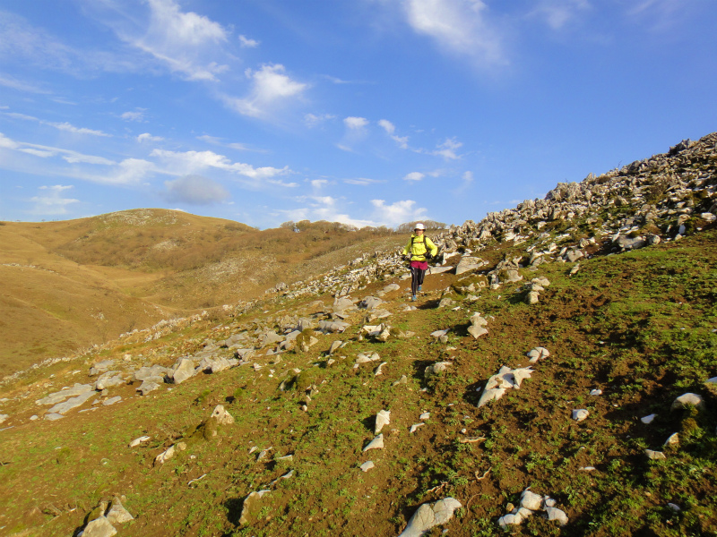 2011/11/01 霊仙山_b0220886_20244926.jpg