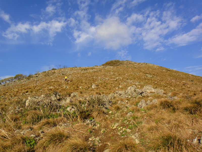 2011/11/01 霊仙山_b0220886_20255011.jpg
