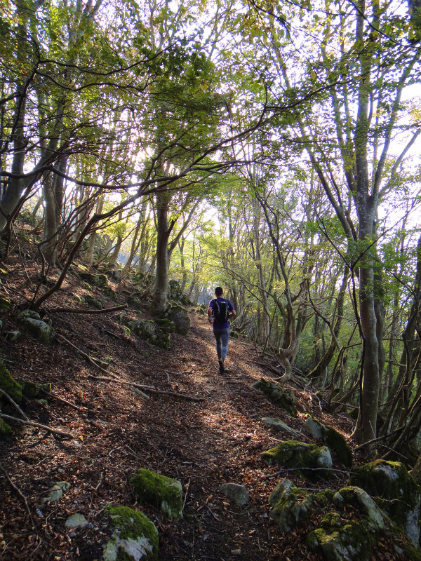 2011/11/01 霊仙山_b0220886_20261180.jpg