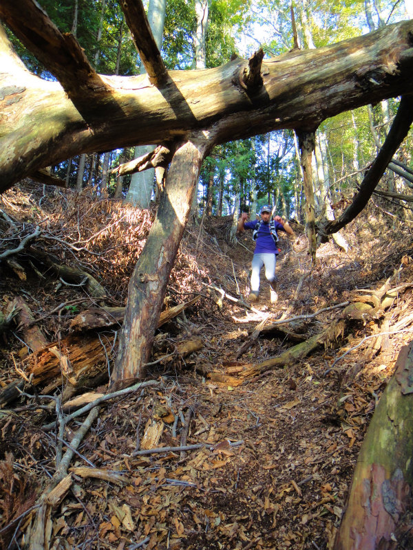 2011/11/01 霊仙山_b0220886_2027359.jpg