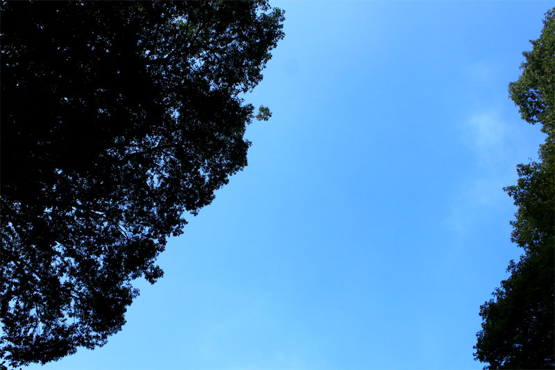 舞台探訪:ちはやふる【近江神宮・近江勧学館】_d0217090_21174388.jpg