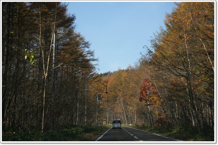 f0146493_2141810.jpg