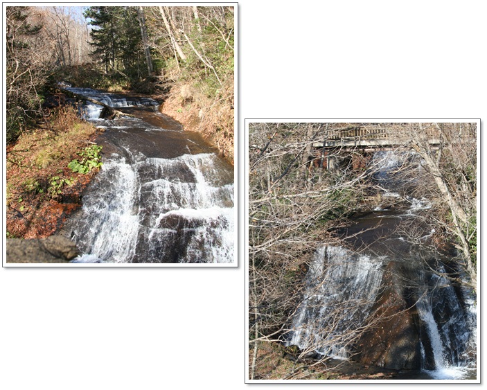 f0146493_2145110.jpg