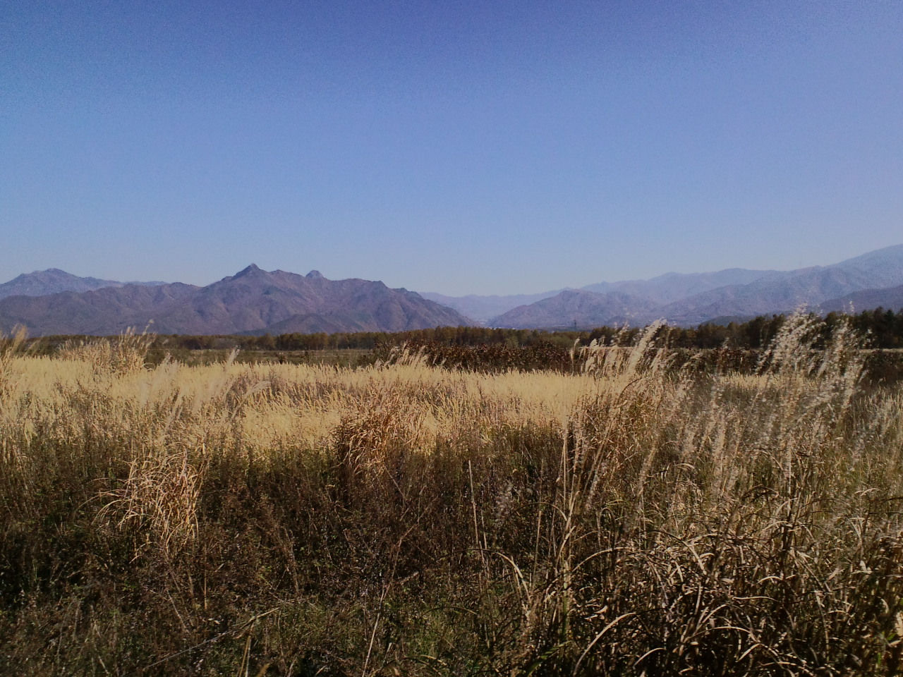 b0234697_10275427.jpg