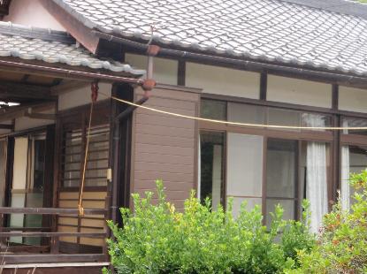 伸びる　ゴ～～ン_e0077899_7252515.jpg