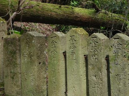 伸びる　ゴ～～ン_e0077899_7255778.jpg