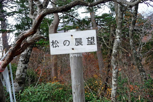 家形山から三方倉山。熊の巣の藪漕ぎ。_e0137200_15511336.jpg