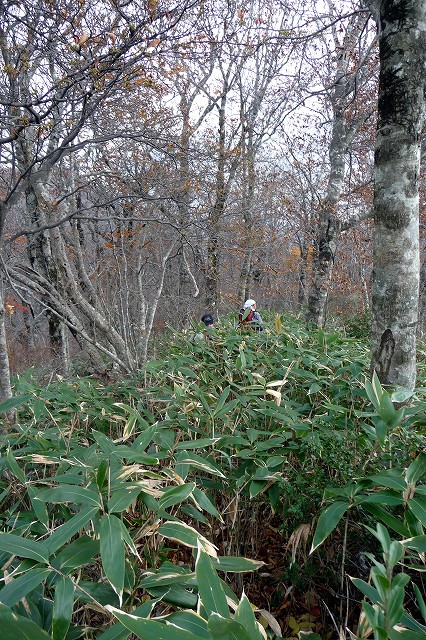 e0137200_1614637.jpg